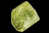 Five Yellow Apatite Crystals ( - ) - Pieces #108361-1